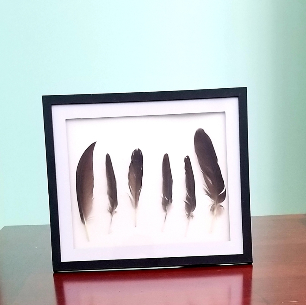 Featherwork Framed 8×10 Wall & Sitting Art/Decor Hang or Stand
